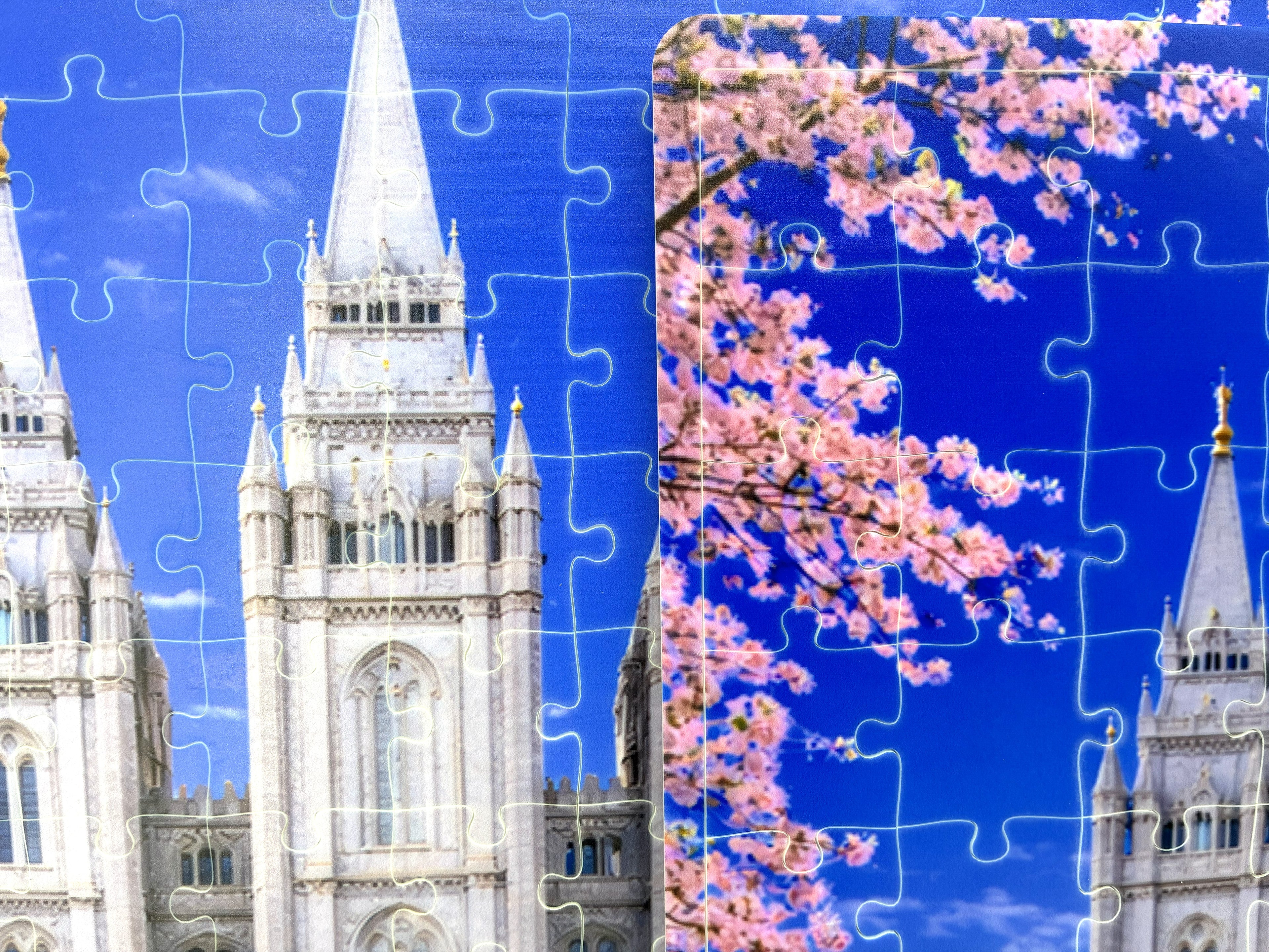 Temple Puzzle Photo